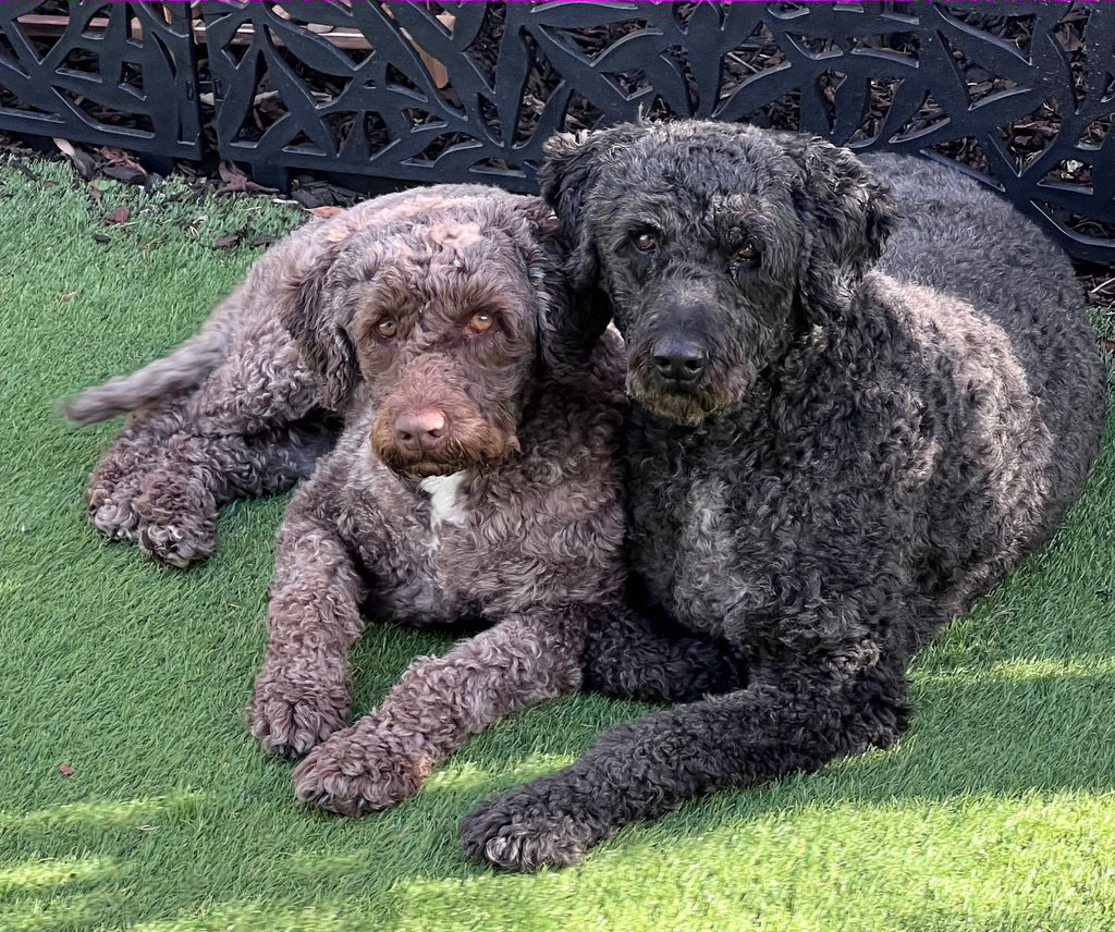 Eco-friendly clothing